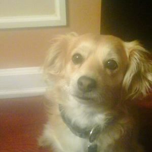 Meet your Posher, Daniela